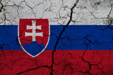 Arka planda Slovakya bayrağı var. Tasarımcı çözümleri kavramı.