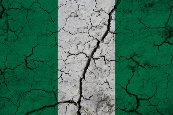 背景纹理上有尼日利亚国旗 设计者解决方案的概念 — 图库照片