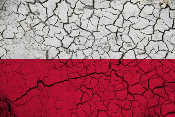 Poland flag on the background texture. Concept for designer solutions.