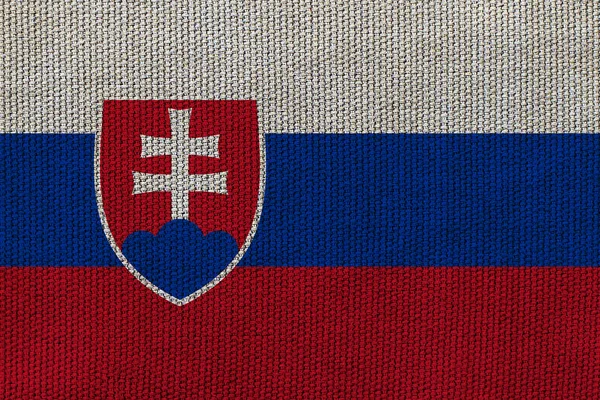 Bandera Eslovaquia Textura Fondo Concepto Para Soluciones Diseño — Foto de Stock