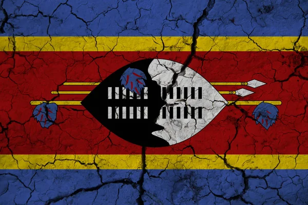 swaziland flag on the background texture. Concept for designer solutions.