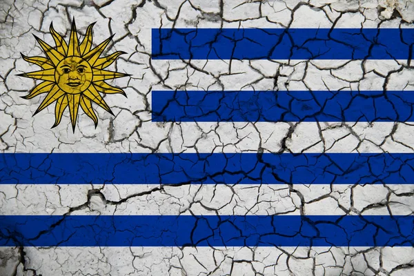 Uruguay flag on the background texture. Concept for designer solutions.