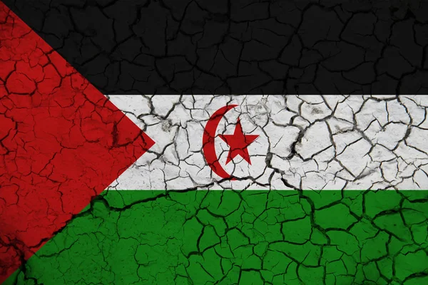 Прапор Західної Сахари Тлі Текстури Концепція Дизайнерських Рішень — стокове фото