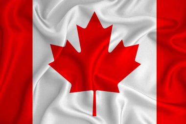 Arka planda Kanada bayrağı var. Tasarımcı çözümleri kavramı.