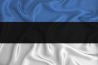 Arka planda Estonya bayrağı var. Tasarımcı çözümleri kavramı.