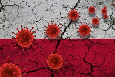 Kırmızı virüs hücreleri, salgın virüs salgını, koronavirüs, Asya gribi konsepti, çatlak bir Polonya bayrağının arka planında