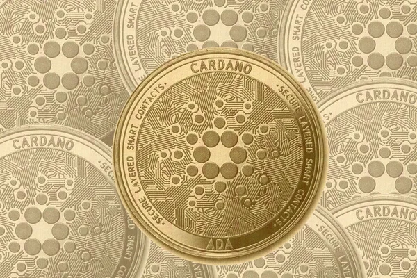 Cardano bronzlaştırılmış madeni paraların arka planında, altın kripto para cardano (ada) işareti.