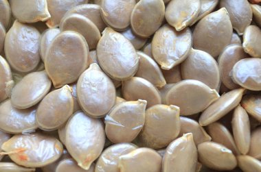 Bir yığın çiğ kabak çekirdeği dokusu. Makro arkaplan kabak tohumu dokusu