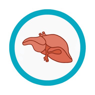 Düz stil izole edilmiş karaciğer simgesi beyaz şeffaf bir arkaplanda boş bir çemberde. Tasarımınız için tıbbi konsept.