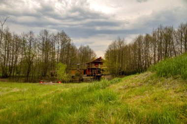Ormanda yaz için banliyödeki evler. Güzel manzaralı lüks ahşap evler. Göl kenarındaki evin modern bir düzeni var.
