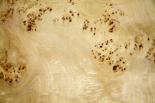 オークの木の幹の磨かれた木片の質感は 成長リングを示しています — ストック写真