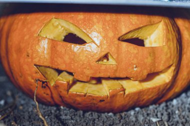 Cadılar Bayramı Balkabağı arka plan