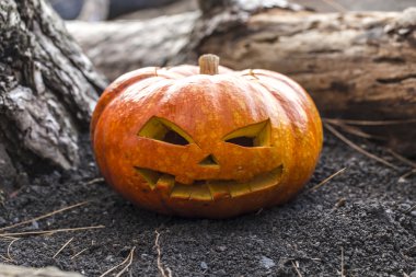 Cadılar Bayramı sembolü 