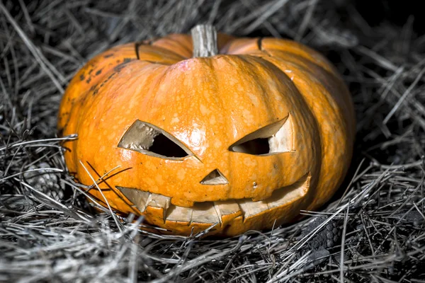 Símbolo de Halloween — Fotografia de Stock