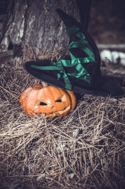 Cadılar Bayramı Balkabağı arka plan