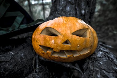 Cadılar Bayramı Balkabağı arka plan