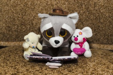 şapkalı peluş Rakun