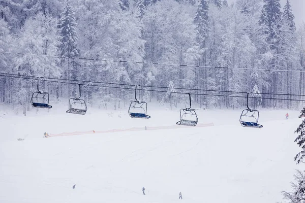 lonley gökyüzü sandalye