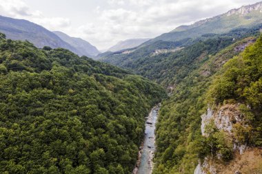 Dağ nehir Tara