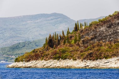 renkli ağaçları ile desteklemek