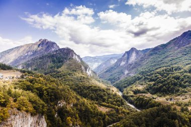 Nehirde Tara görüntülemek