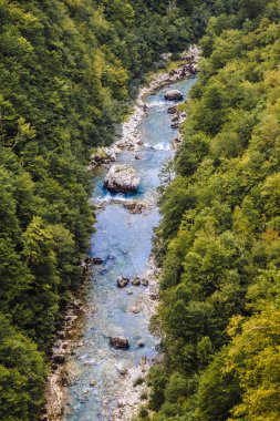Kanyon nehir Tara'nın