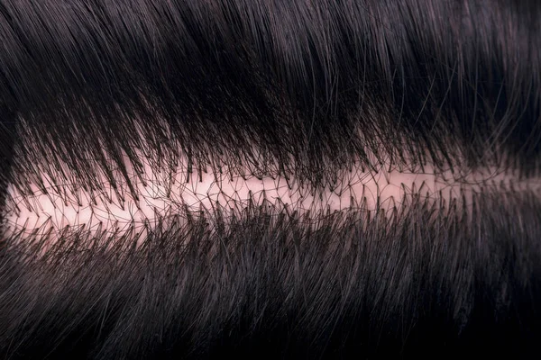 Bir manken saç — Stok fotoğraf