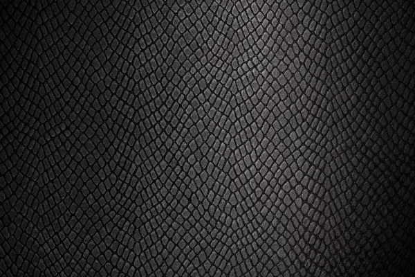 skin reptile texture