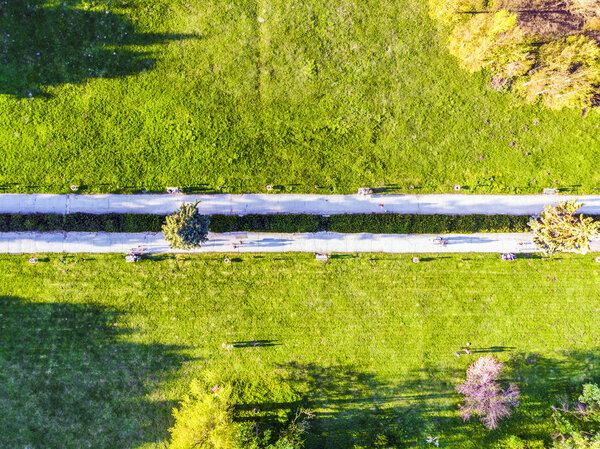 View from above on a green park park, aerial photography, background image