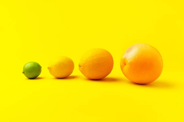 Toranja, laranja, limão e limão — Fotografia de Stock
