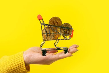 Alışveriş sepeti içinde Bitcoins 