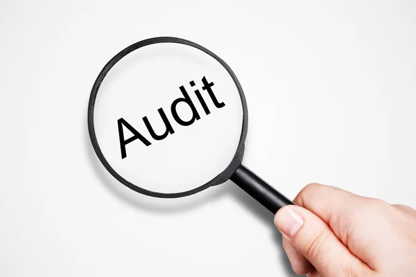 Audit search — Stock Photo, Image