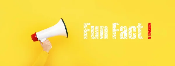 Megaphone Hand Inscription Fun Fact Yellow Background Panoramic Image — Stock Photo, Image