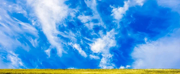 Летний Пейзаж Желтое Поле Небо Панорамное Изображение — стоковое фото