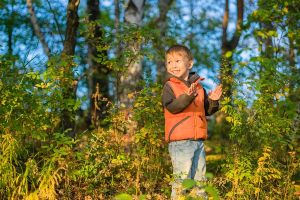 Junge spielt im Herbstwald — Stockfoto