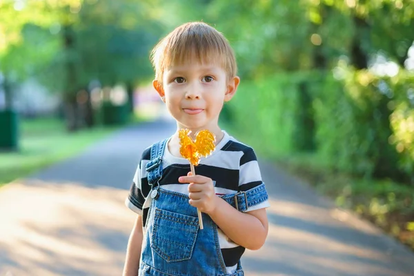 Το αγόρι κρατώντας ένα γλειφιτζούρι στο χέρι. — Φωτογραφία Αρχείου