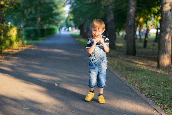 De jongen gnaws een lolly — Stockfoto