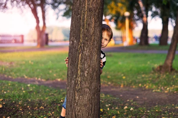 Мальчик прячется за деревом в парке — стоковое фото