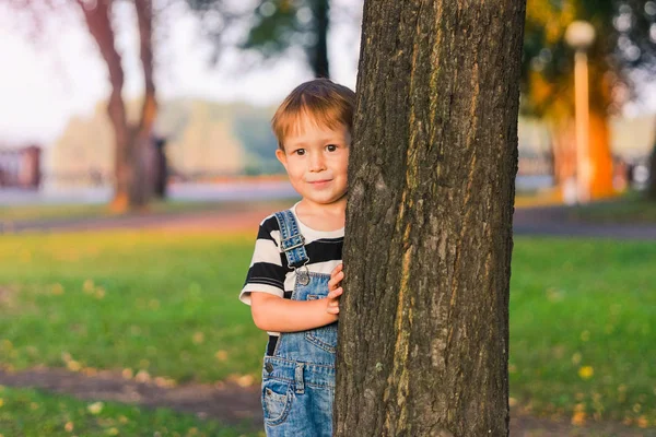 Στέκεται με το δέντρο στο πάρκο για το αγόρι — Φωτογραφία Αρχείου