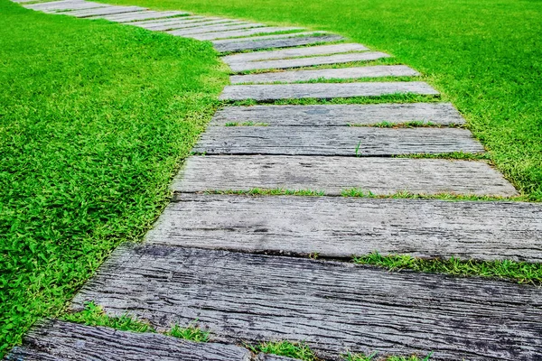 Path through the lawn. — Stock Photo, Image