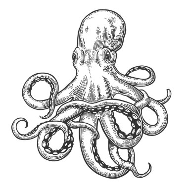 Octopus. Sea Monster clipart