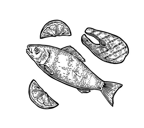 Beef grilled fish steak with lemon top view. — Stock Illustration Beef grilled fish steak with lemon top view. Vector Graphics