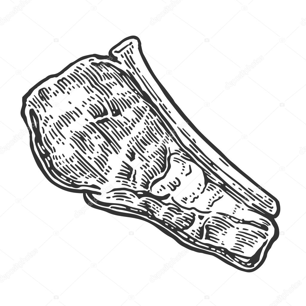 Beef grilled steak with bone top view. Vintage black vector ... for Beef Clipart Black And White
75tgx Beef grilled steak with bone top view. Vintage black vector ... for Beef Clipart Black And White
75tgx