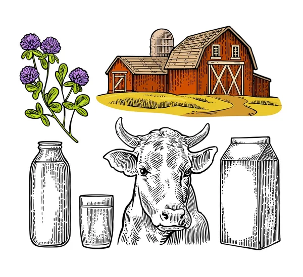 우유 농장을 설정 합니다. 소 머리, 클로버, 상자 판지 포장, 유리 및 병. — 스톡 벡터