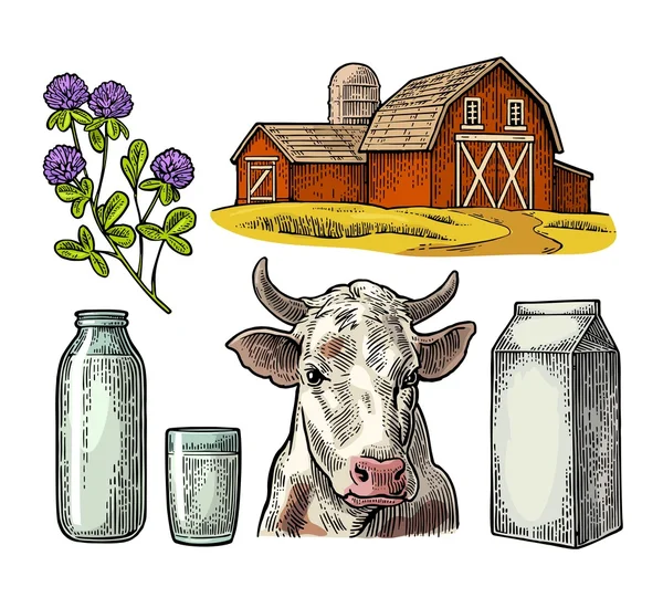 Set ferme laitière. Tête de vache, trèfle, boîte carton paquet, verre et bouteille . — Image vectorielle