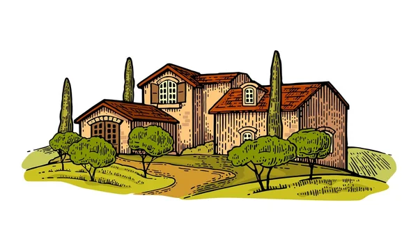 Landschap met villa of vakantiehuisje met veld, olijfbomen en cipressen — Stockvector