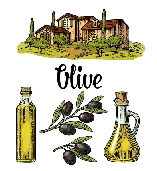 Ajuste oliva. Botella de vidrio, rama con hojas, villa de paisaje rural — Vector de stock