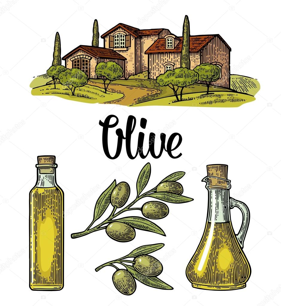 Set olive. Bottle glass, branch with leaves, rural landscape villa