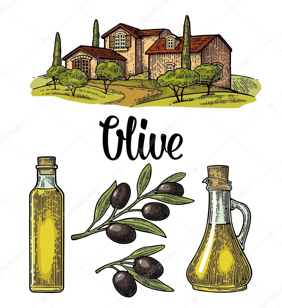Set olive. Bottle glass, branch with leaves, rural landscape villa