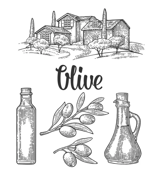 Zet olijf. Flessenglas, tak met bladeren, landelijke landschapsvilla — Stockvector